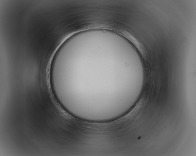 X0000088180836200705150938