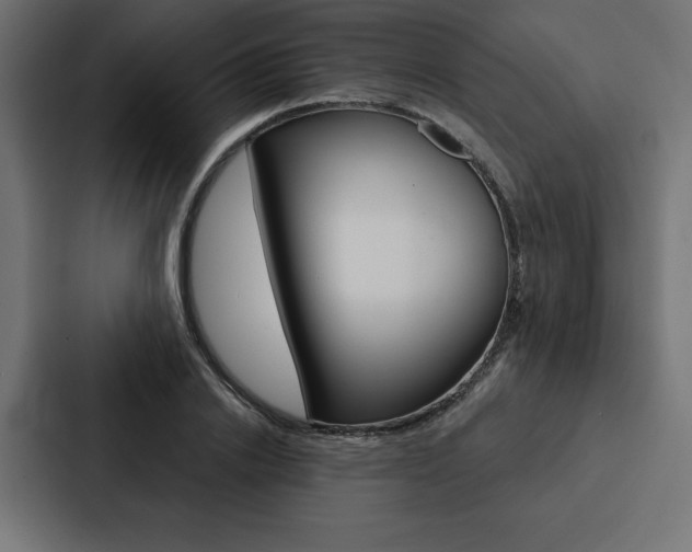 X0000088180838200705150938