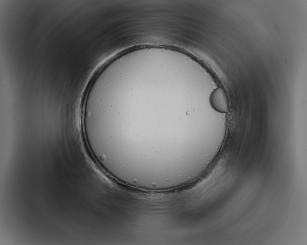 X0000088180839200705150938