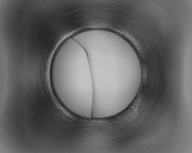 X0000088180840200705150938