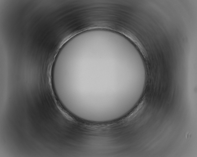 X0000088180842200705150938