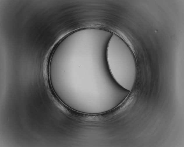 X0000088180843200705150938