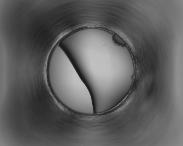 X0000088180845200705150938