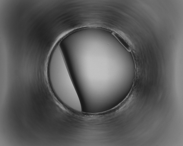 X0000088180846200705150938