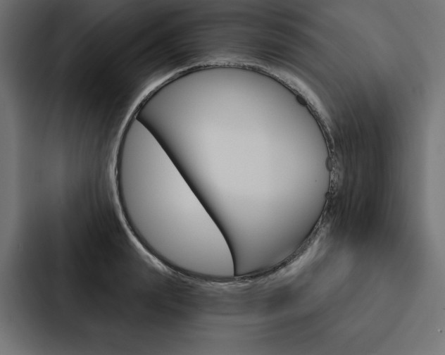 X0000088180847200705150938