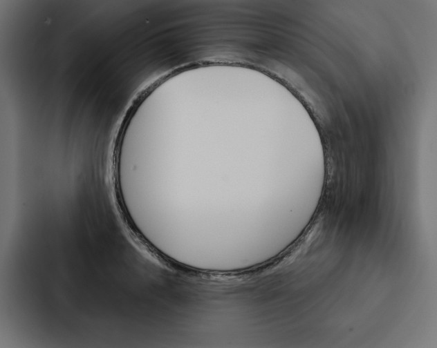 X0000088180848200705150938