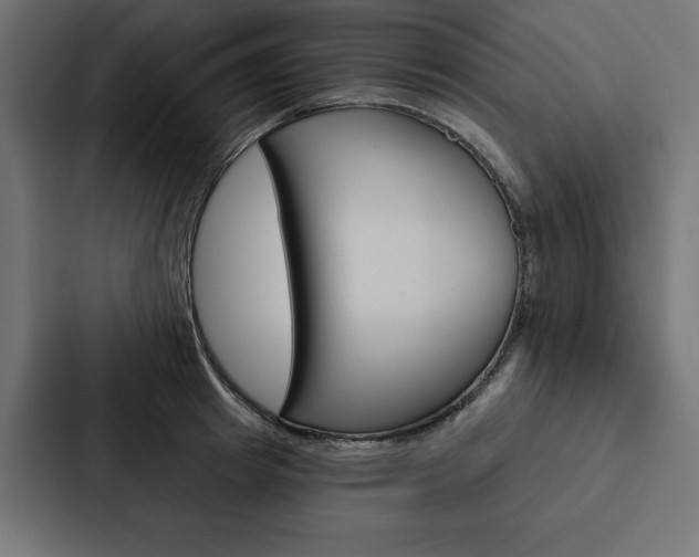 X0000088180849200705150938