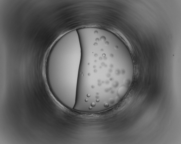 X0000088180851200705150938