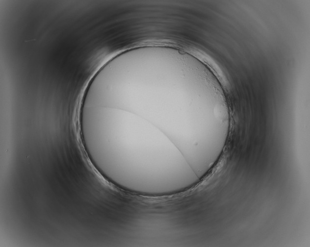 X0000088180852200705150938