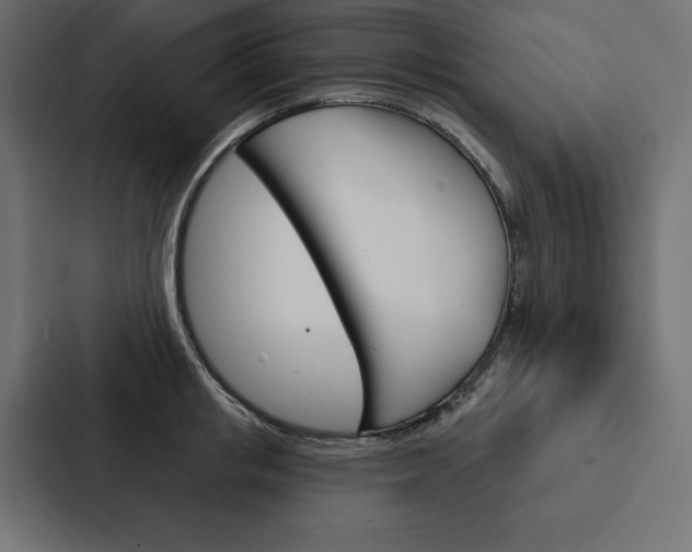 X0000088180853200705150938