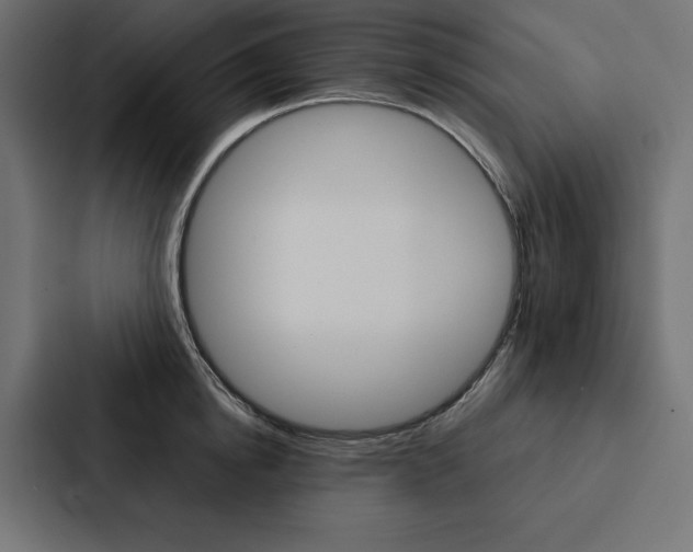 X0000088180854200705150938