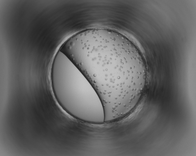 X0000088180855200705150938
