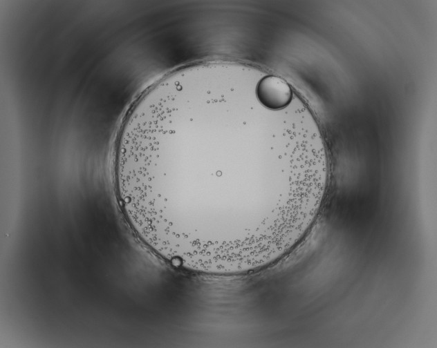 X0000088180856200705150938