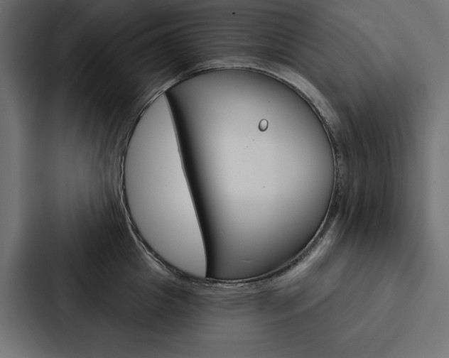 X0000088180857200705150938