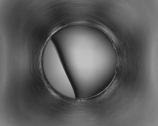X0000088180858200705150938