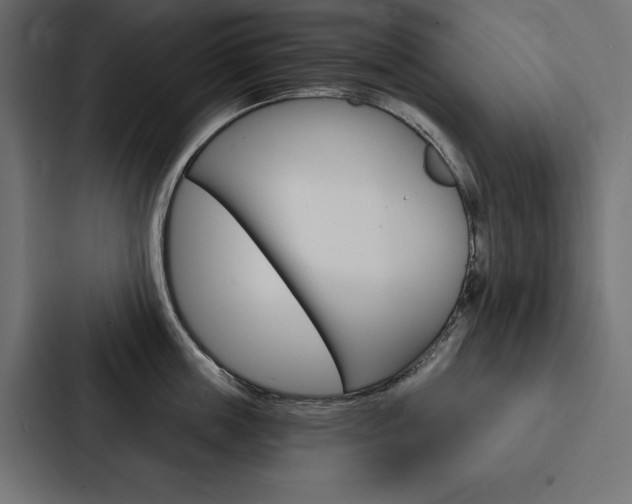 X0000088180859200705150938