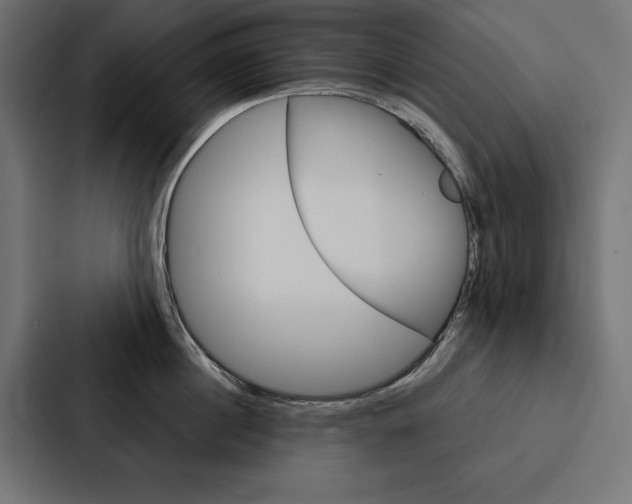 X0000088180860200705150938