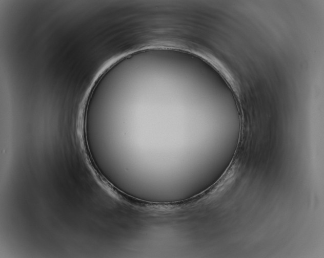 X0000088180862200705150938