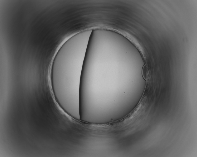X0000088180863200705150938