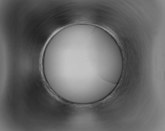 X0000088180864200705150938