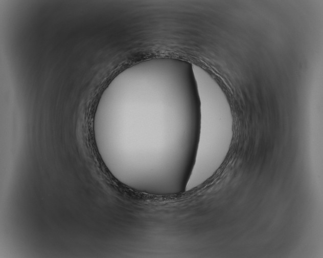 X0000088180865200705150937