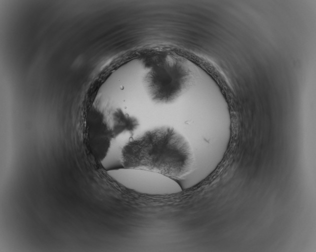 X0000088180871200705150937