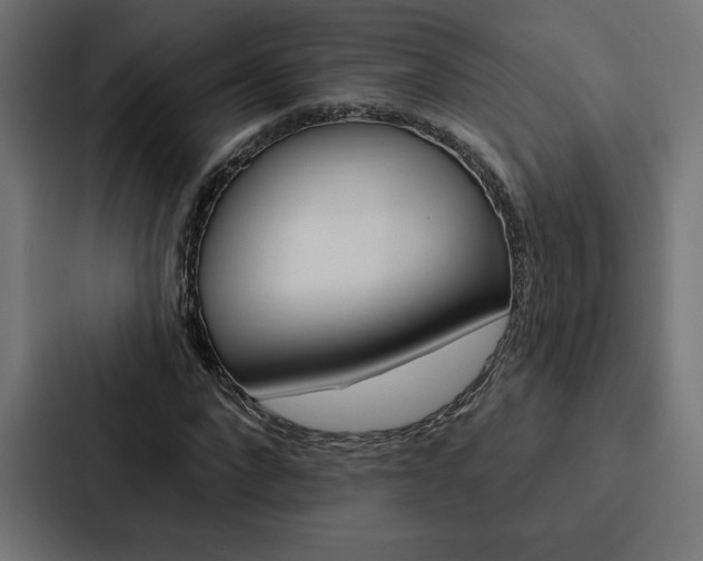 X0000088180872200705150937