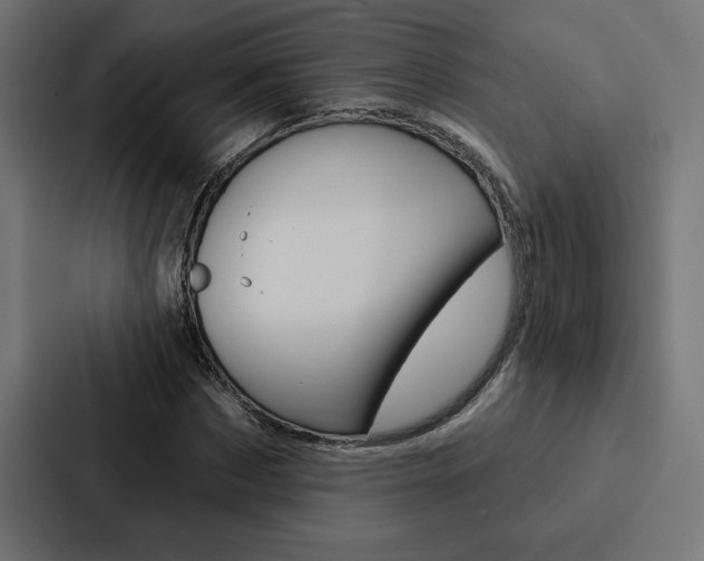 X0000088180873200705150937