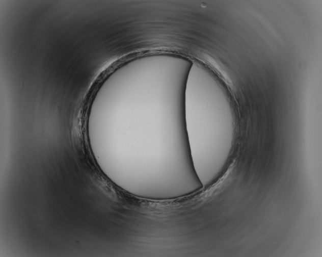 X0000088180875200705150937