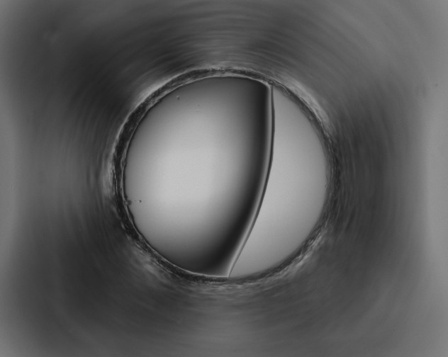 X0000088180876200705150937