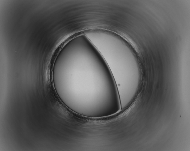 X0000088180877200705150937