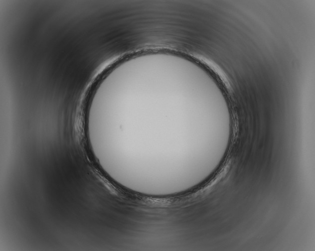X0000088180878200705150937
