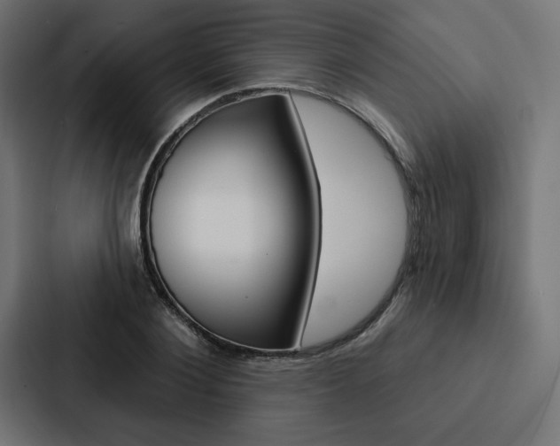 X0000088180884200705150937