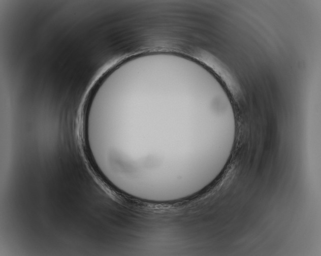 X0000088180886200705150937