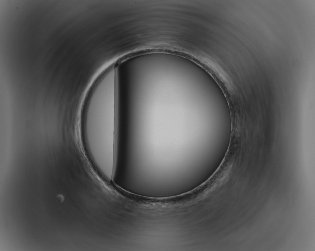 X0000088180888200705150937