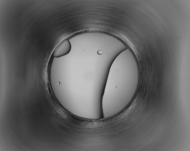 X0000088180891200705150937
