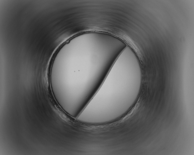X0000088180892200705150937