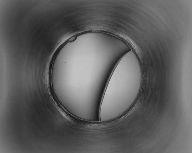 X0000088180894200705150937