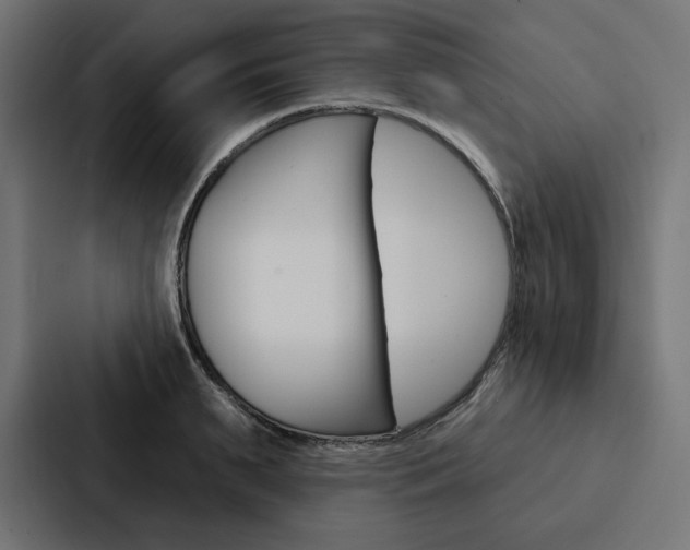 X0000088180895200705150937