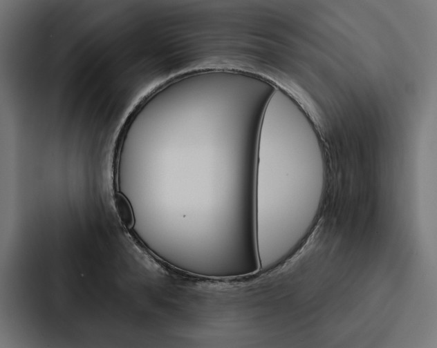 X0000088180896200705150937