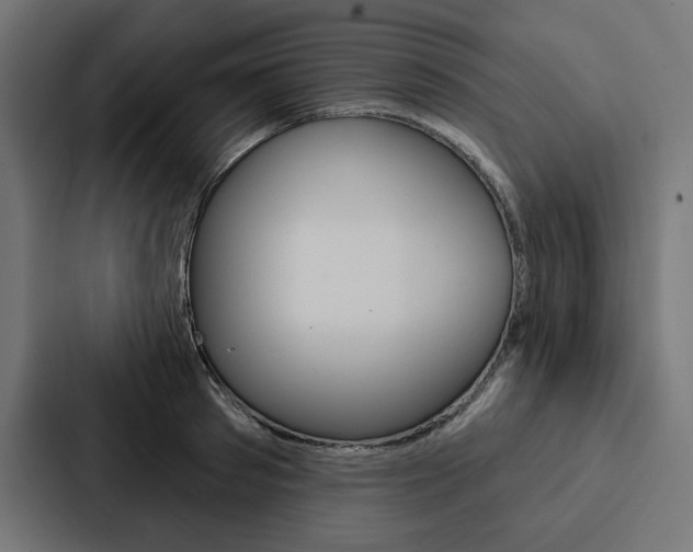 X0000088180897200705150937