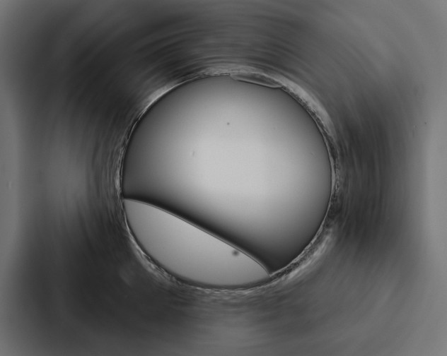 X0000088180905200705150937