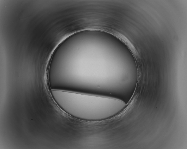 X0000088180908200705150937