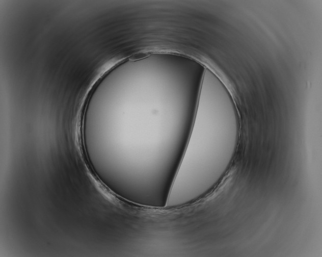X0000088180909200705150937
