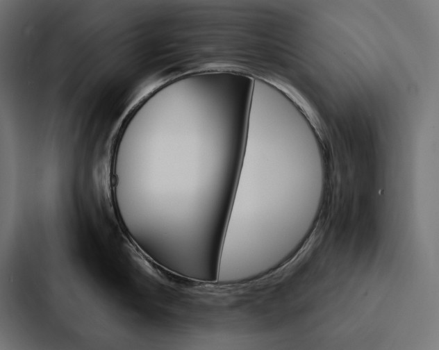 X0000088180910200705150937
