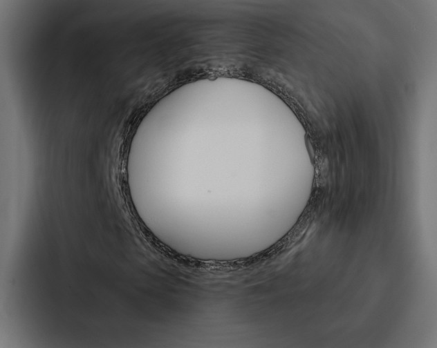 X0000088180913200705150936