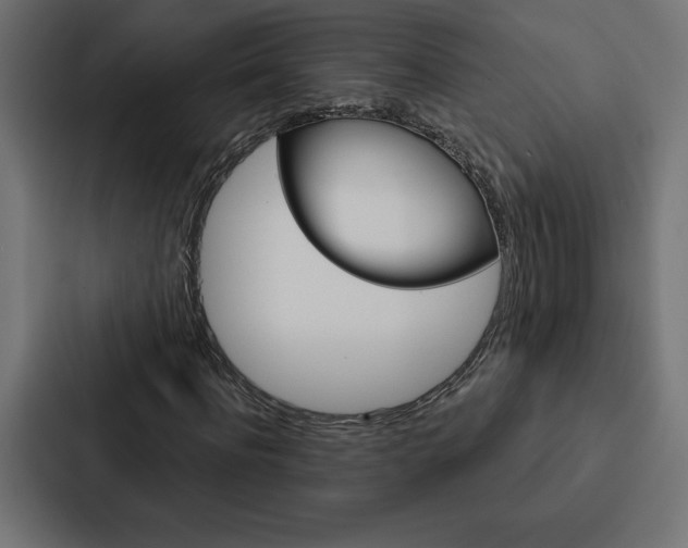 X0000088180916200705150936