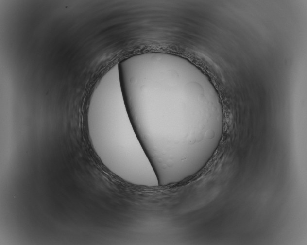 X0000088180917200705150936