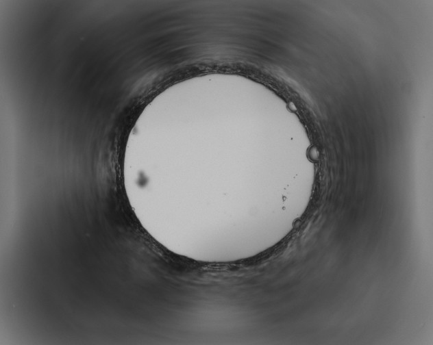 X0000088180918200705150936