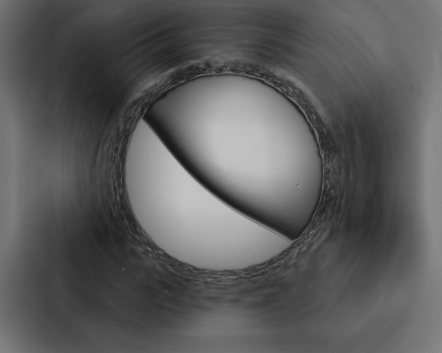 X0000088180919200705150936